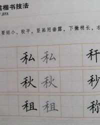 示字旁组词