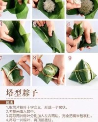 粽子种子的种怎么组词
