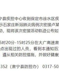 迅速的肃怎么组词