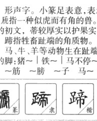 蹄的组词和拼音(蹄的组词拼音部首结构)
