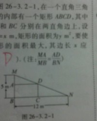 d堤岸的堤怎么组词