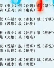 互怎么组词事