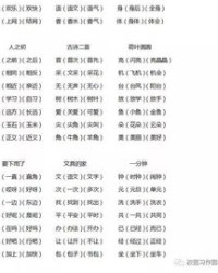 有鱿鱼怎么组词