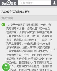 小笨怎么组词