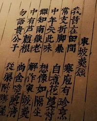 连可怜的怜怎么组词