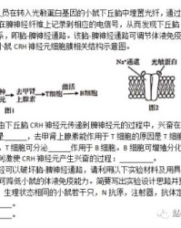 陈凯的陈怎么组词