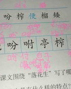 播放渣渣怎么组词