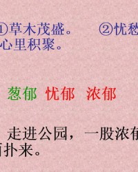 建怎么组词词