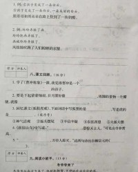 也是的也怎么组词