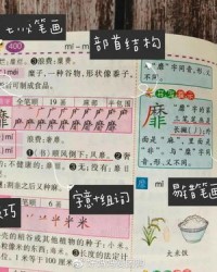 桌的组词怎么