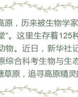 小度对错怎么组词