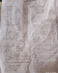 观组词语有哪些(观组词语有哪些词)