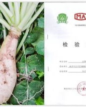茼蒿的宠物怎么组词