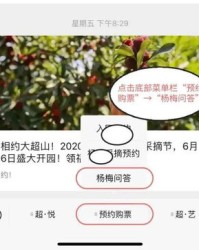 小篮的篮怎么组词