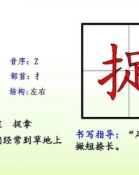 提偏旁结构组词怎么读