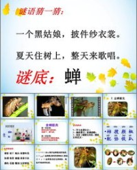 字谜可以怎么组词