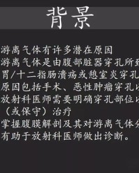 腹怎么样组词