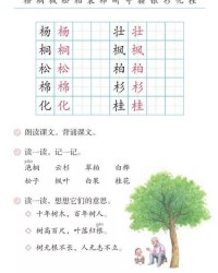 怎么教孩子识字并组词呢