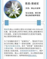 泡组词有哪些(泡的组词都有哪些)