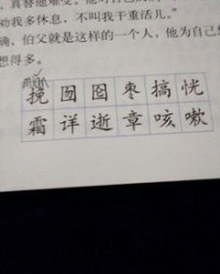 恍组词语(恍组词语有哪些成语)
